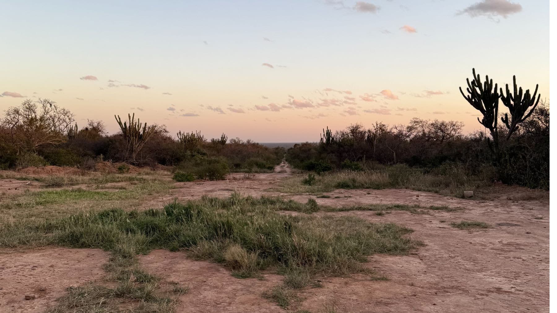 Wild landscape of Paraguay at dawn